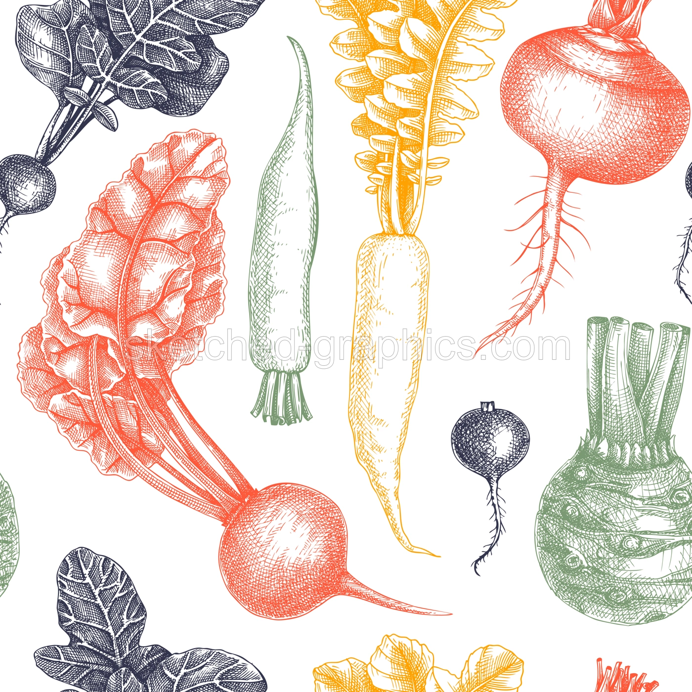 Fresh root vegetables background. Root plants sketches design. Garden vegetable seamless pattern. Hand-sketched beet, radish, daikon, celery, turnip backdrop for or menu, wrapping paper, packaging Illustration